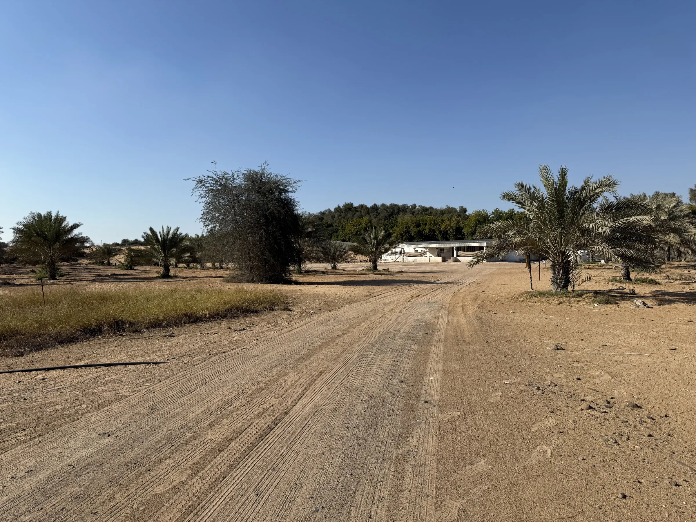 Al Zahya H — view 2