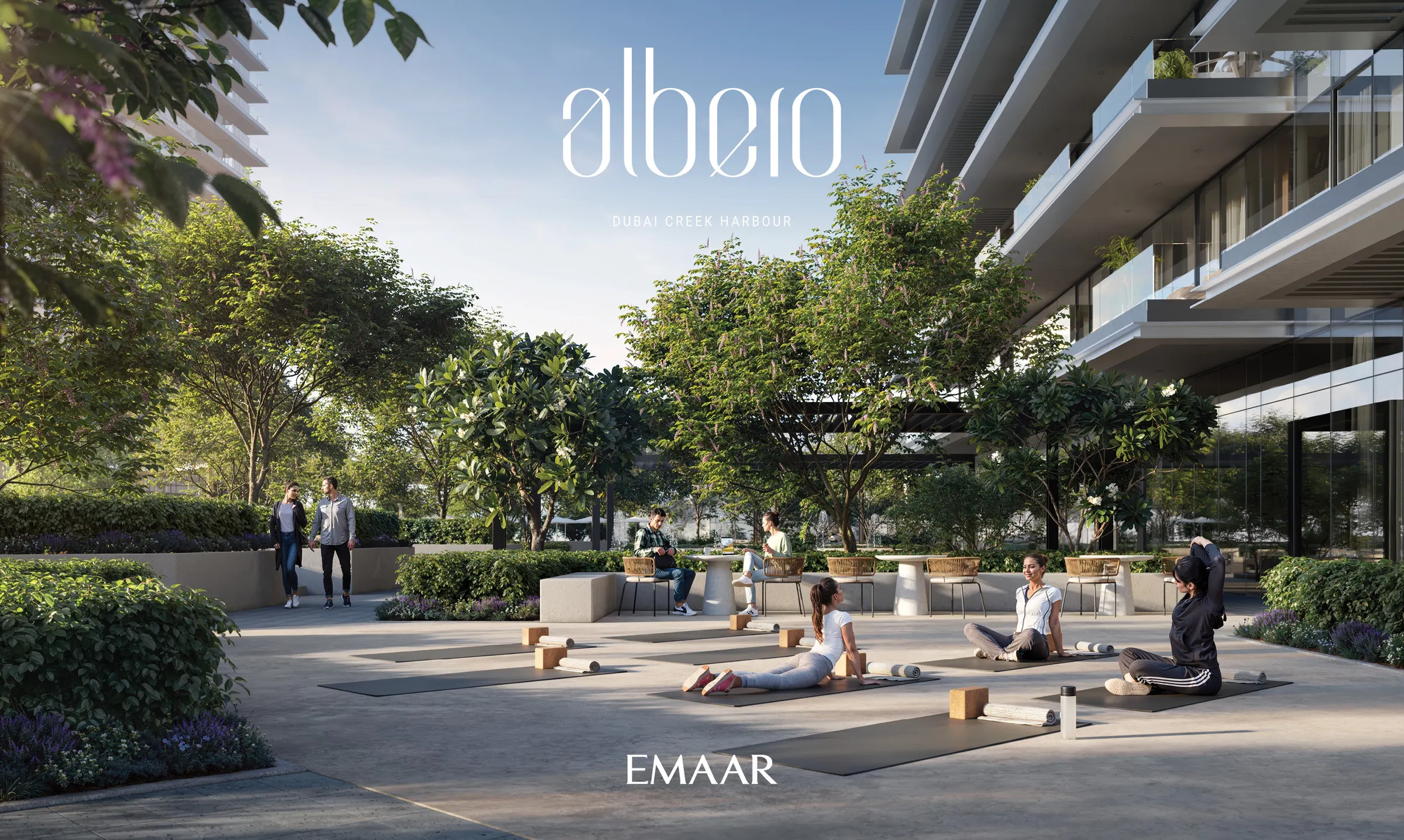 ALBERO — view 10