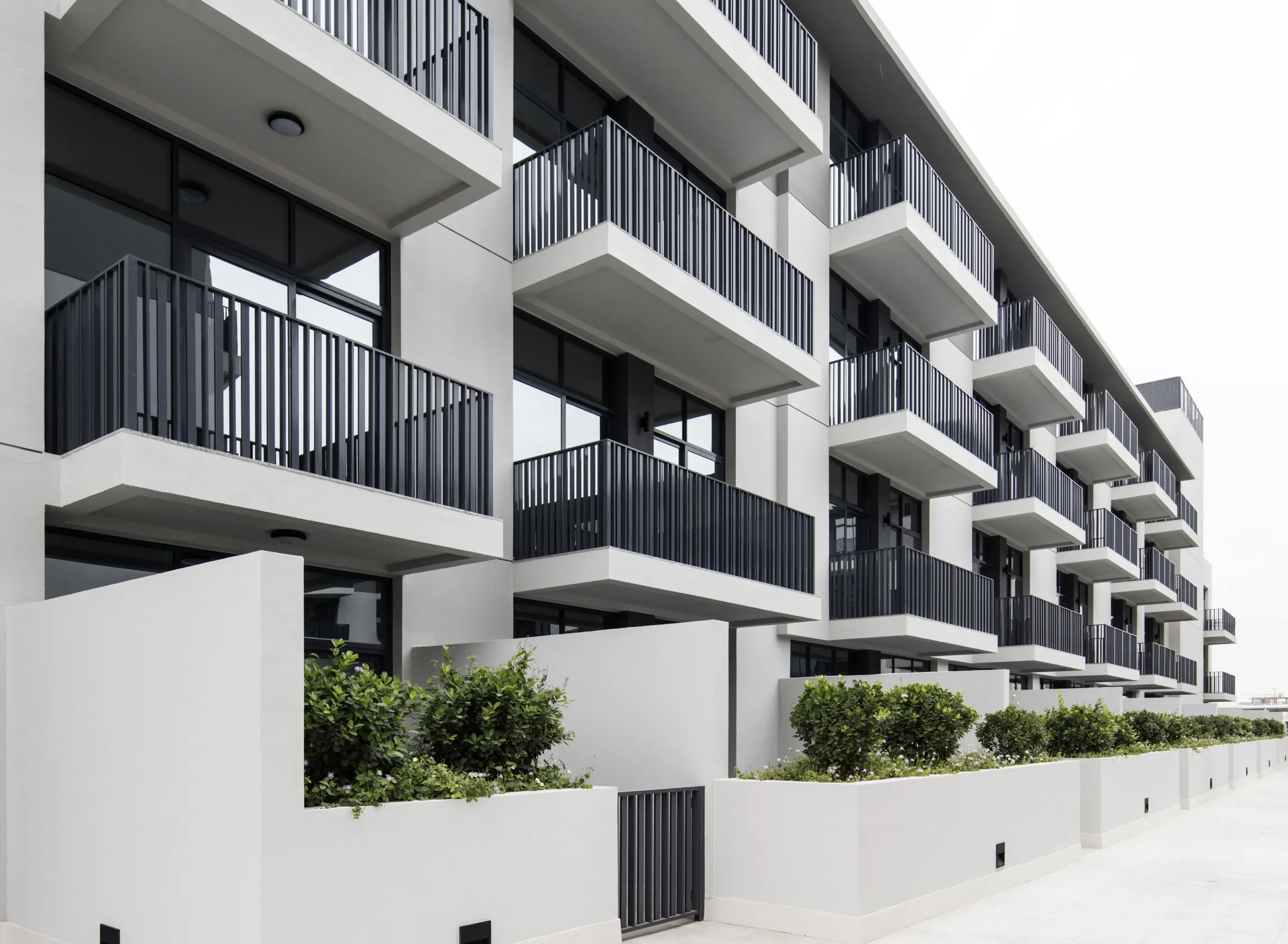 Belgravia 2 by Ellington