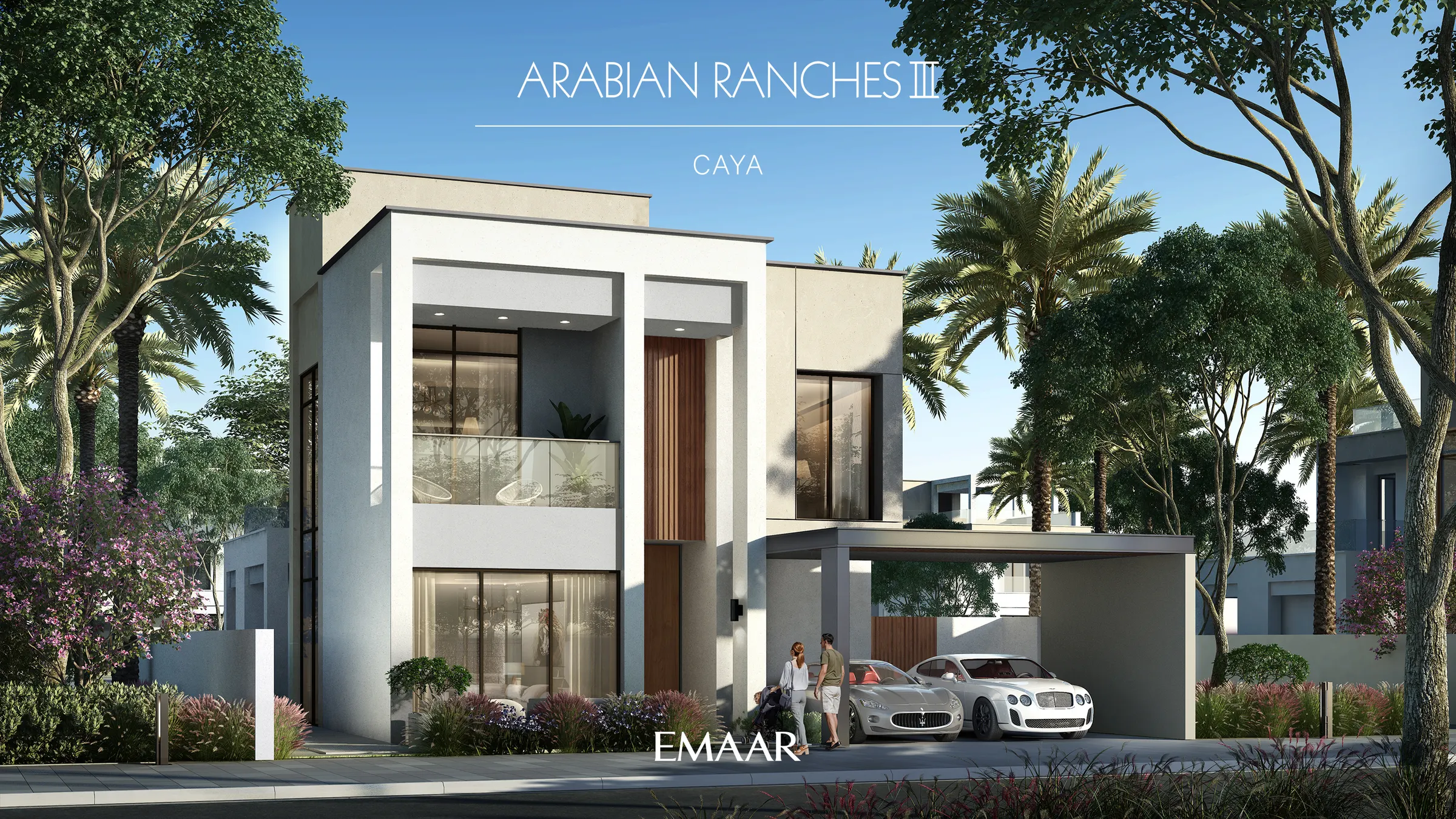Caya — view 6
