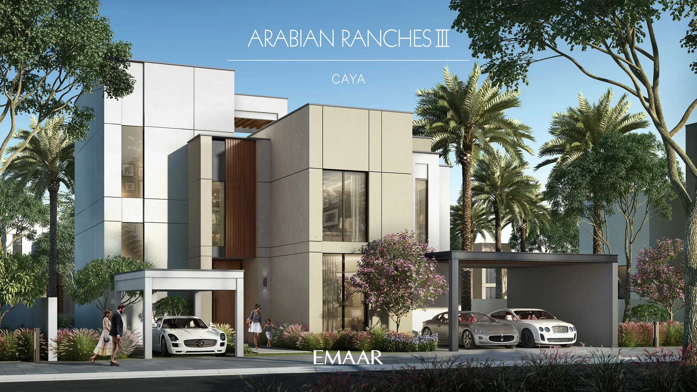 Caya — view 8