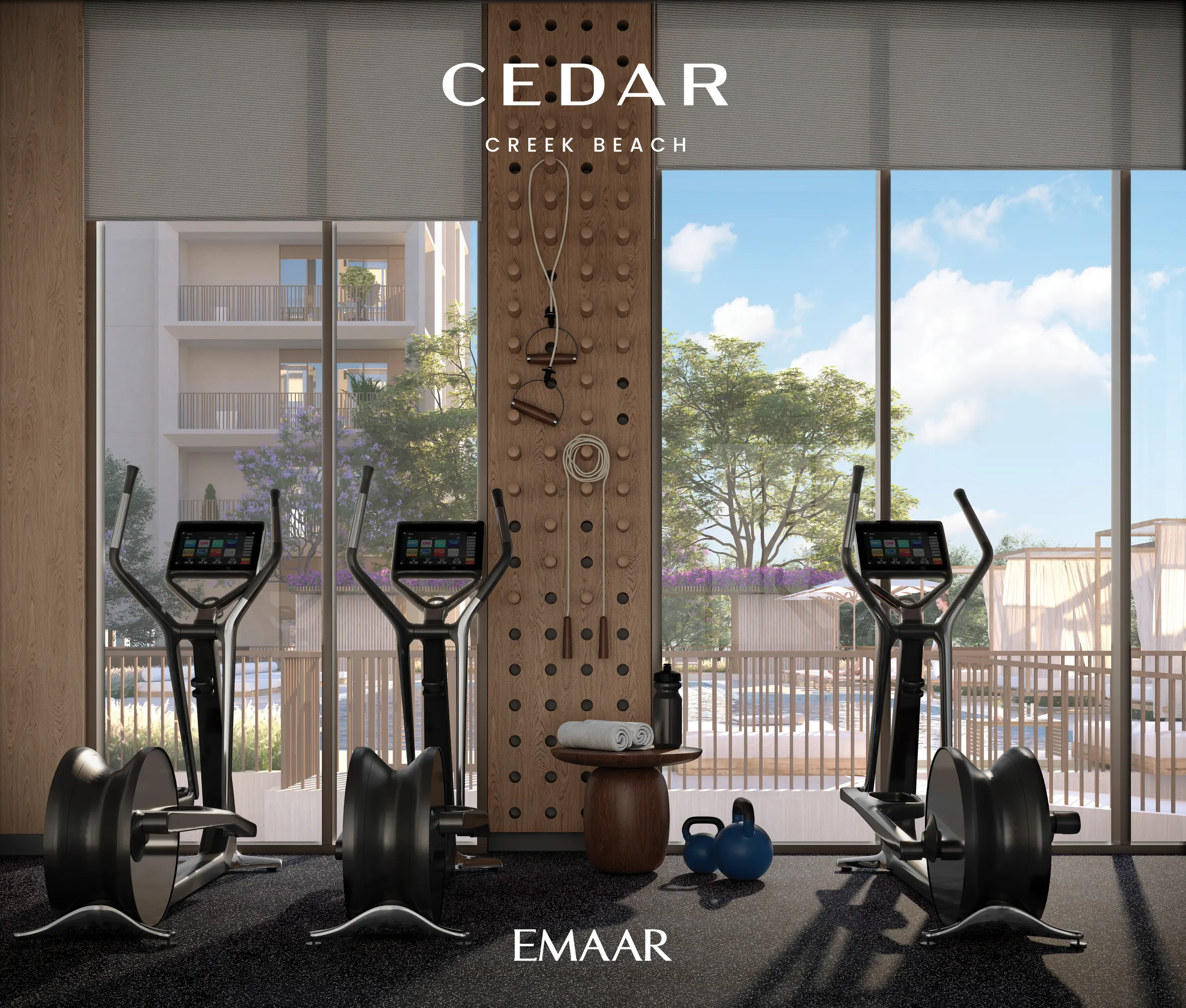 CEDAR — zdjęcie 2