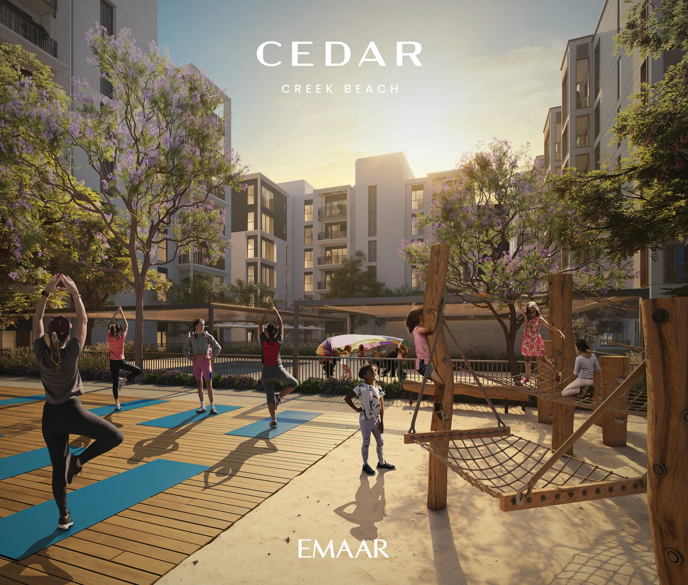 CEDAR — zdjęcie 5