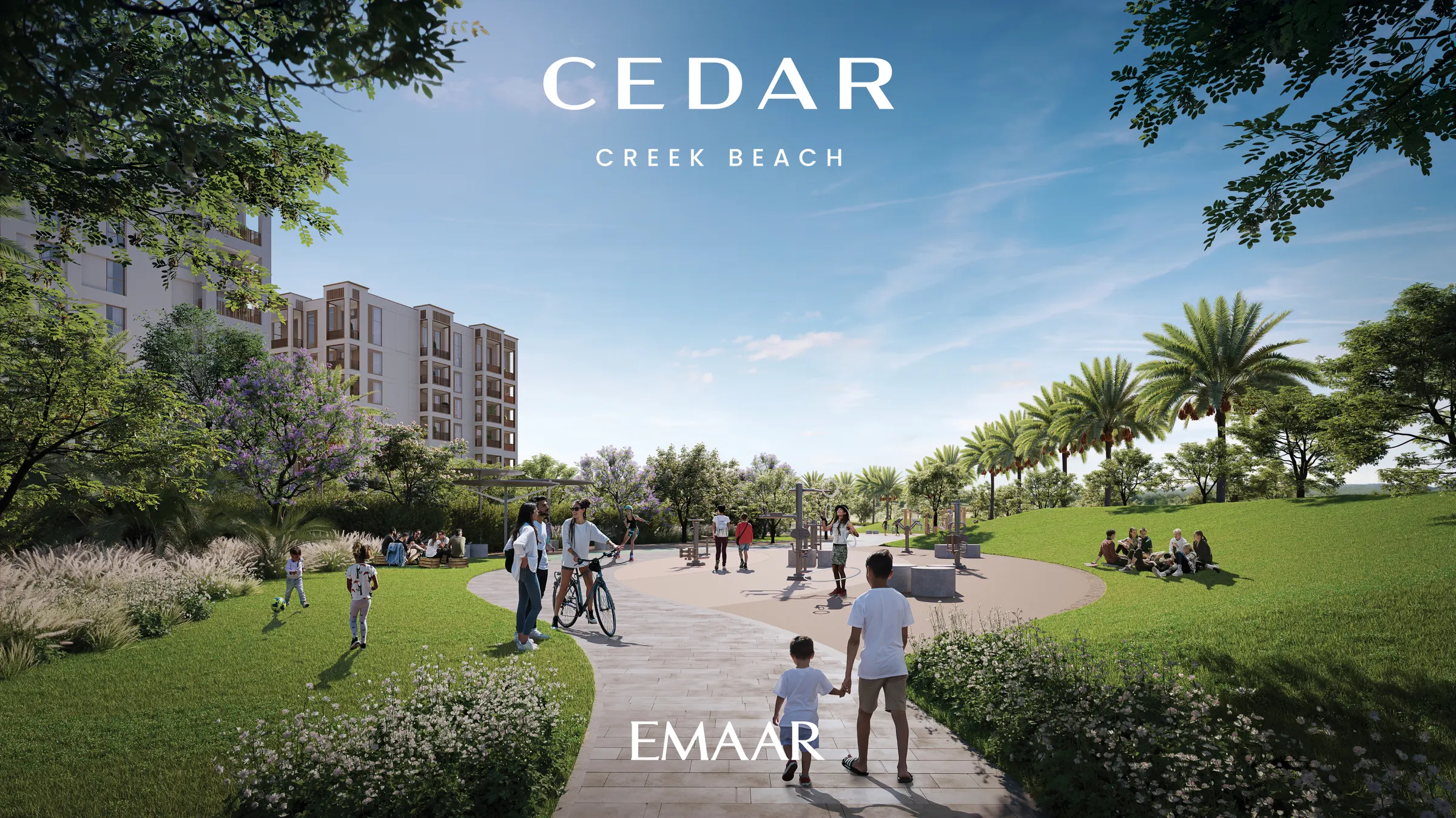 CEDAR — zdjęcie 6