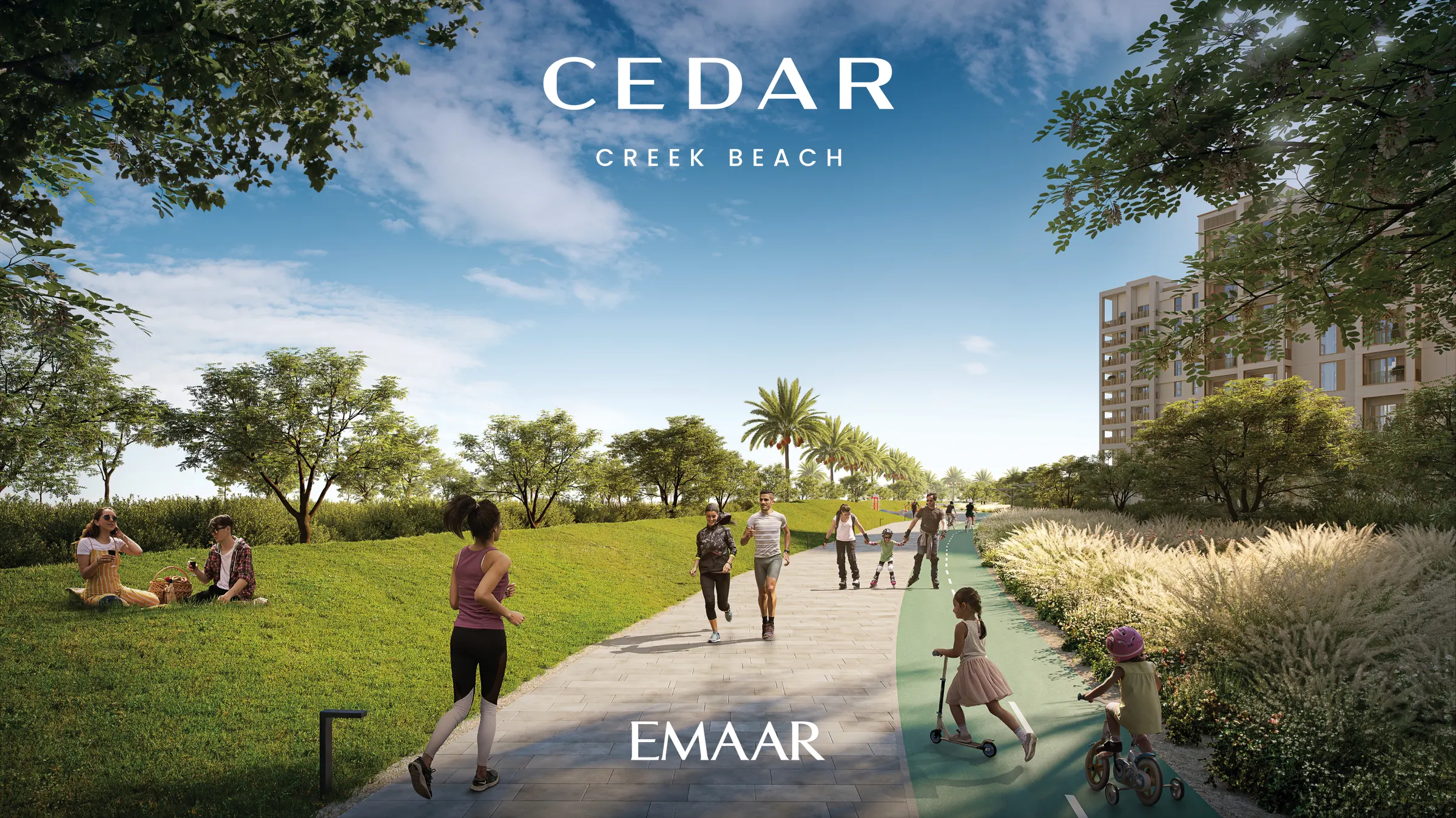CEDAR — zdjęcie 7