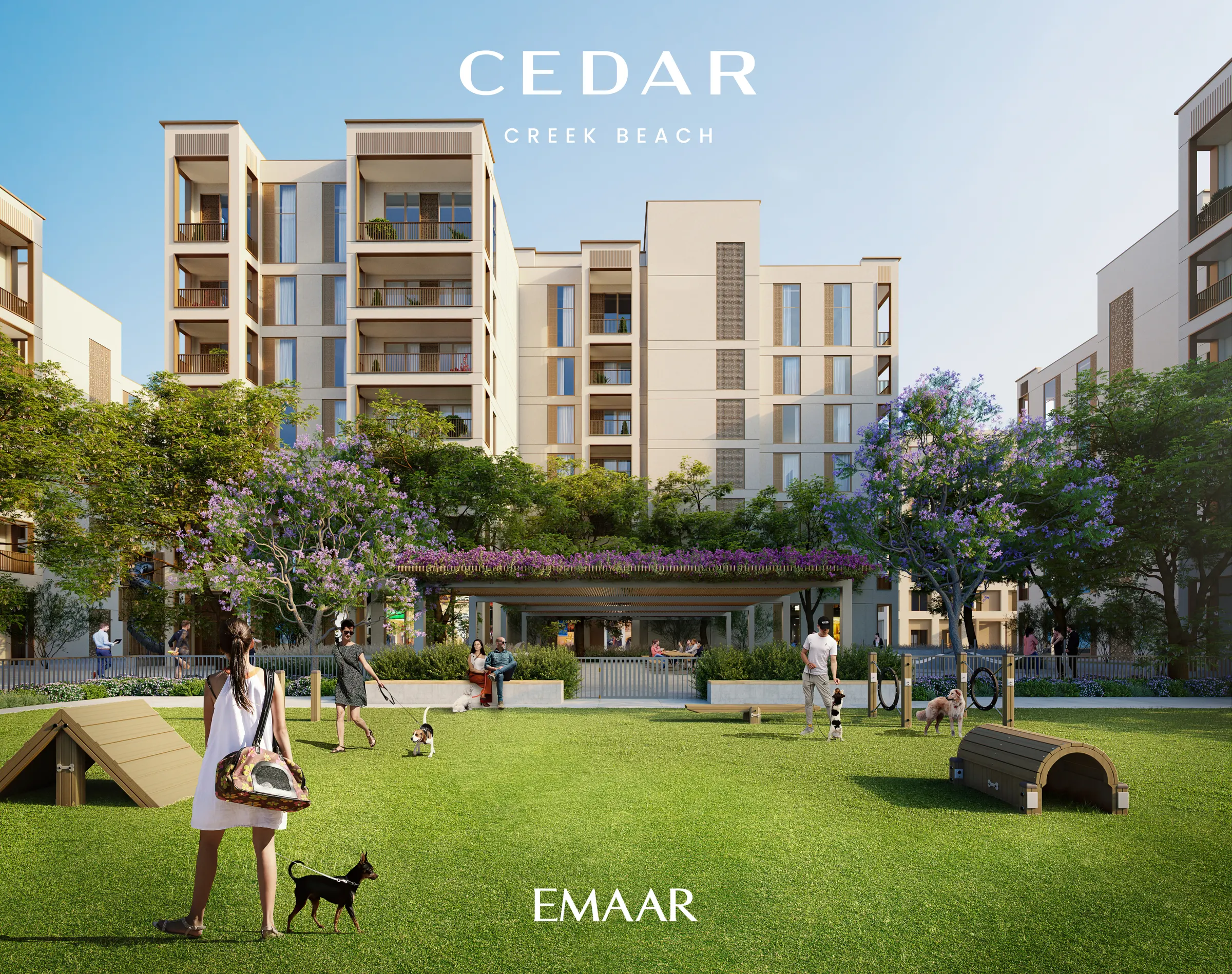 CEDAR — zdjęcie 9