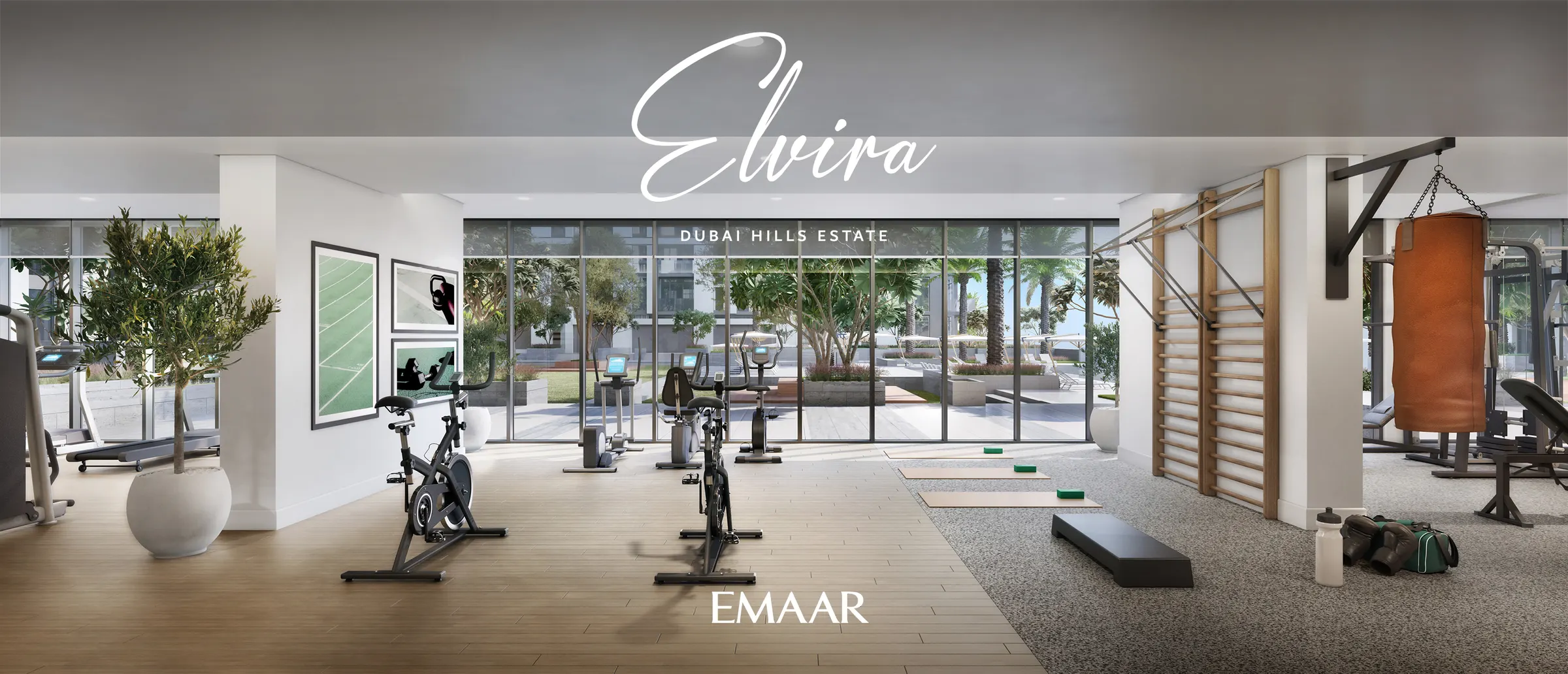 ELVIRA — view 2