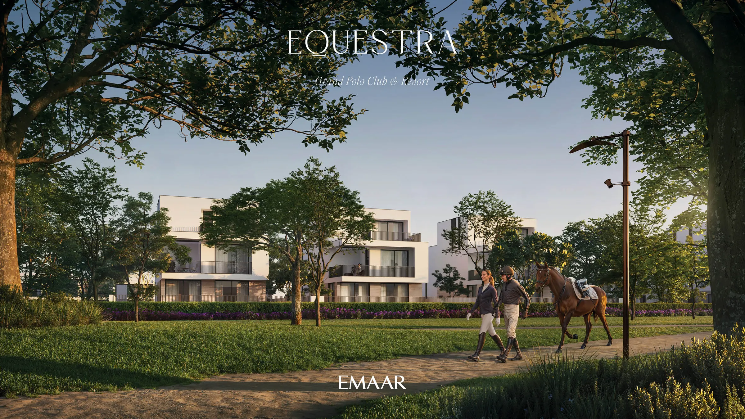 EQUESTRA & EQUITERRA — zdjęcie 4