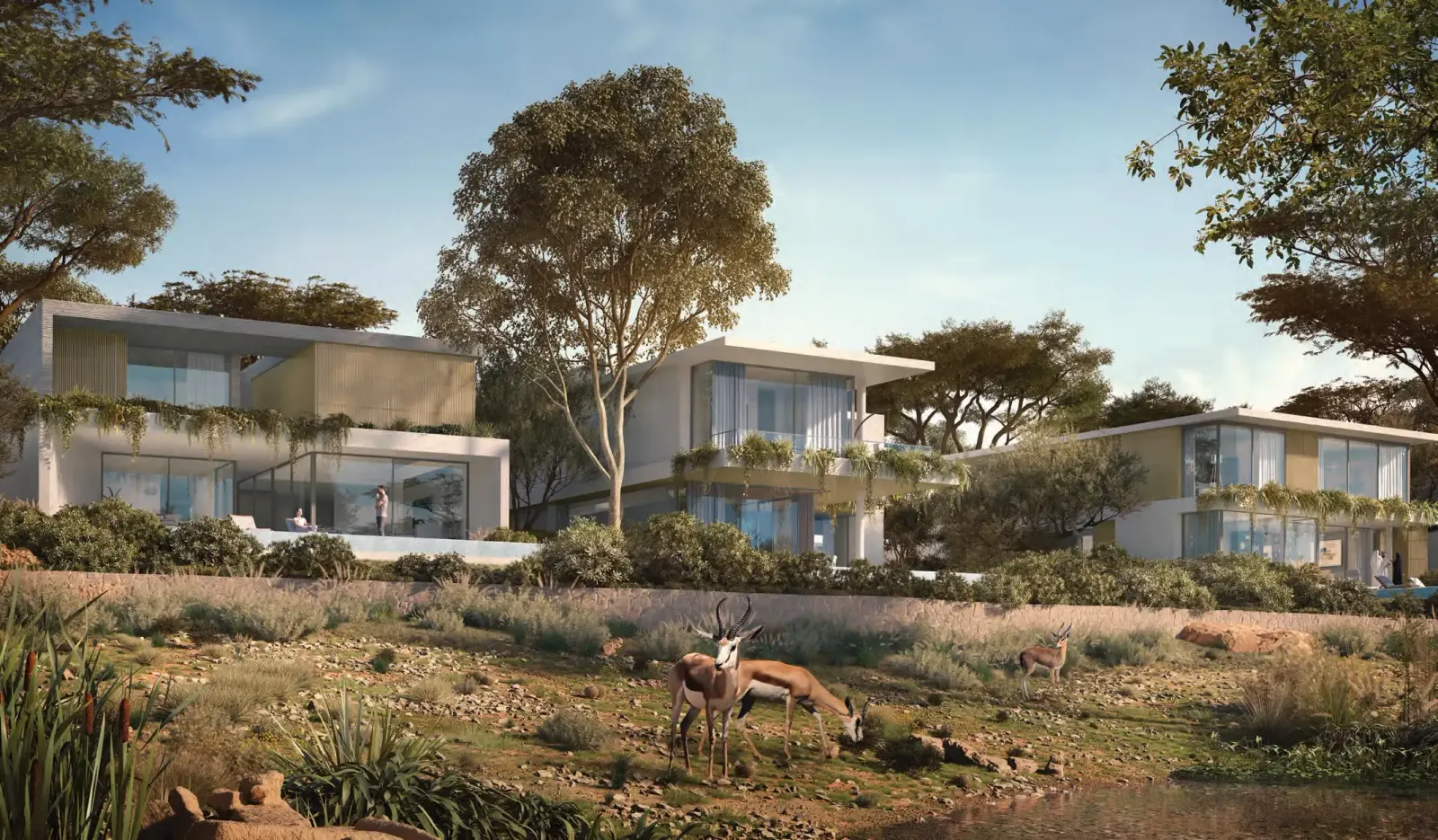 Expo Valley — view 3