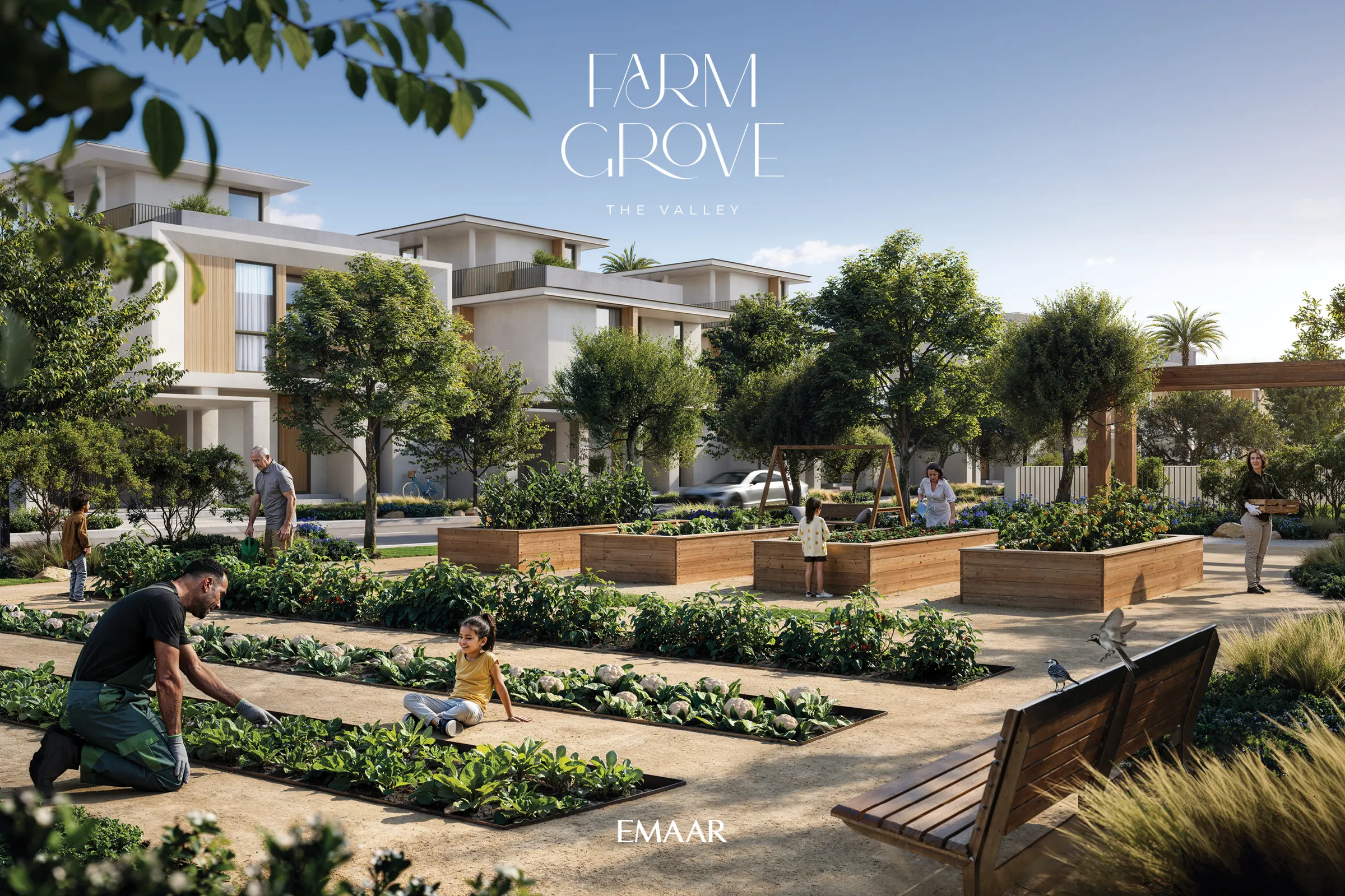 FARM GROVE — view 2