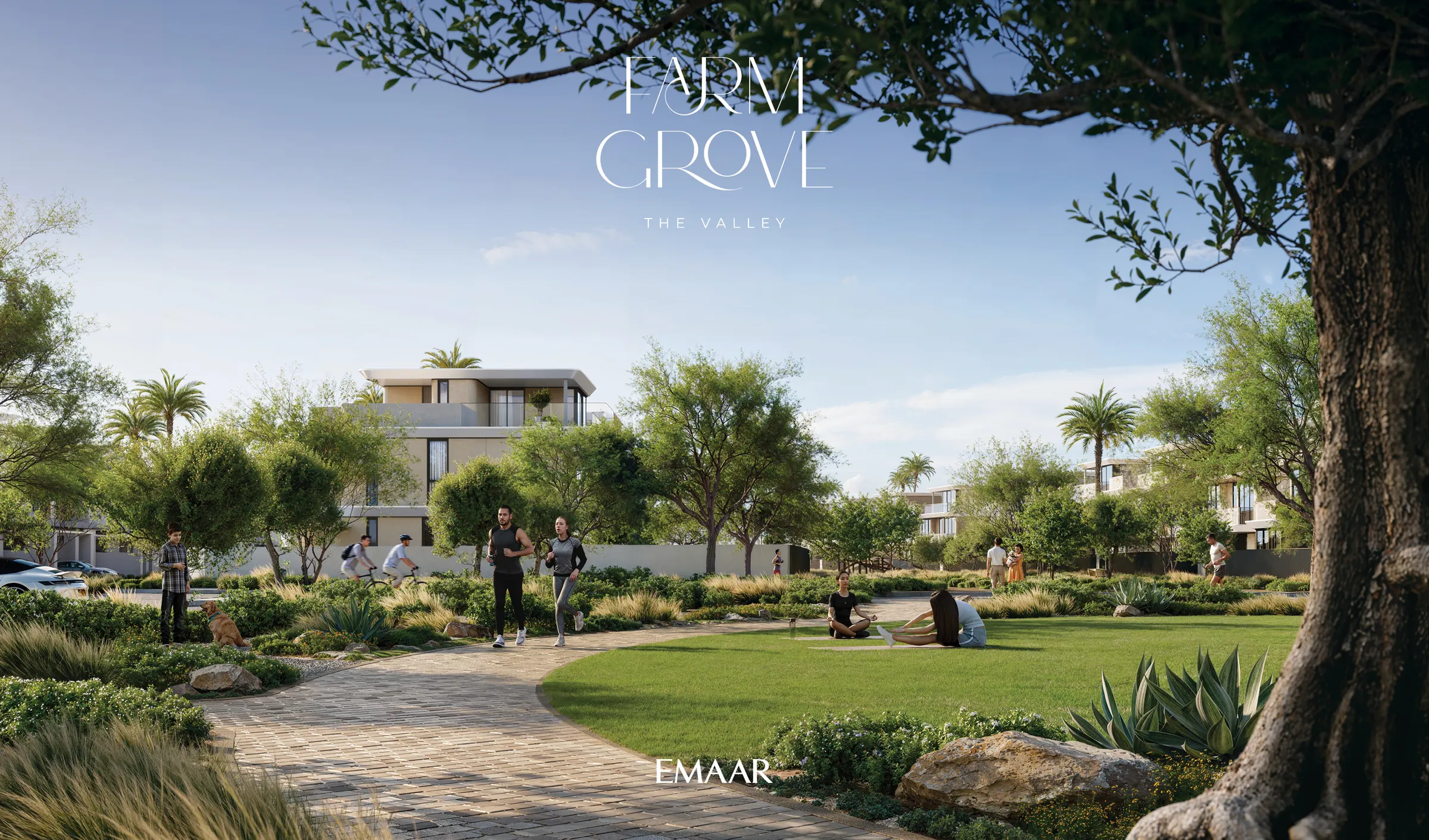 FARM GROVE — view 4