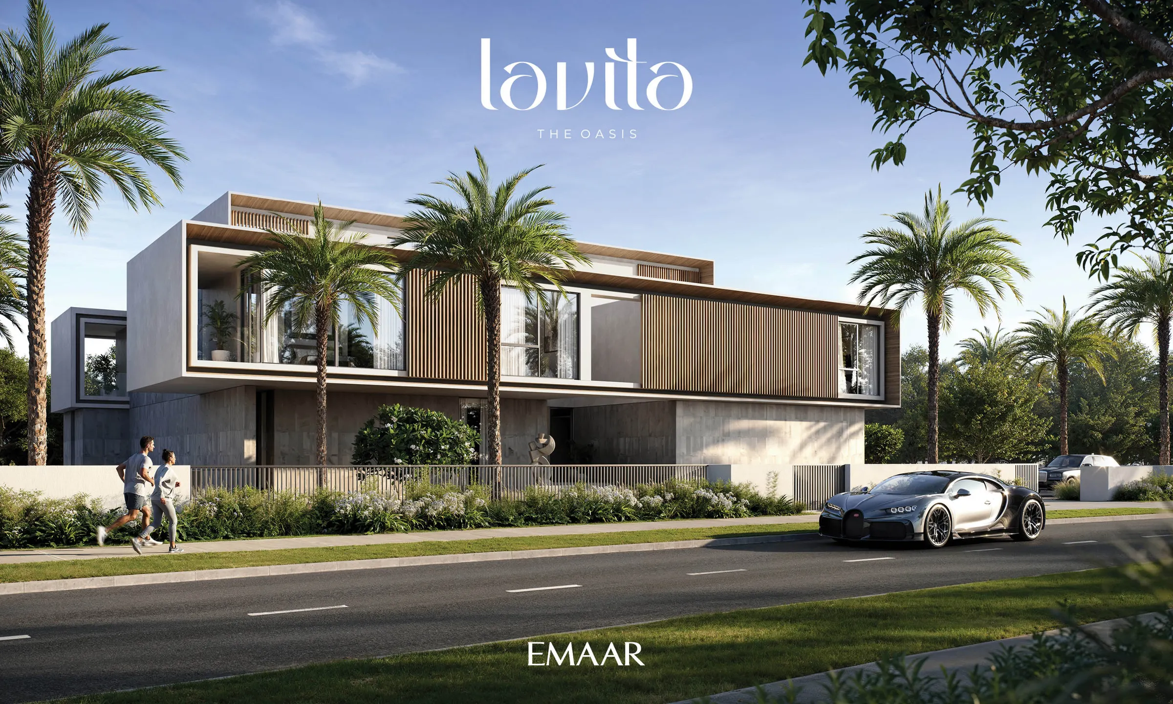 LAVITA — zdjęcie 7