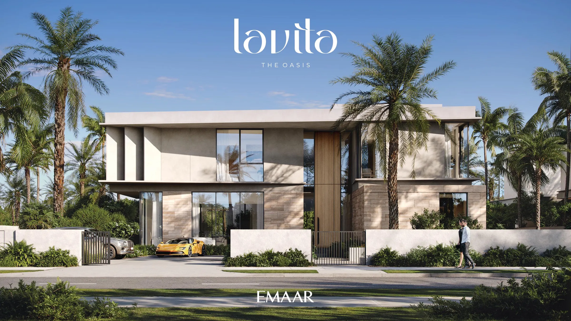 LAVITA — zdjęcie 8