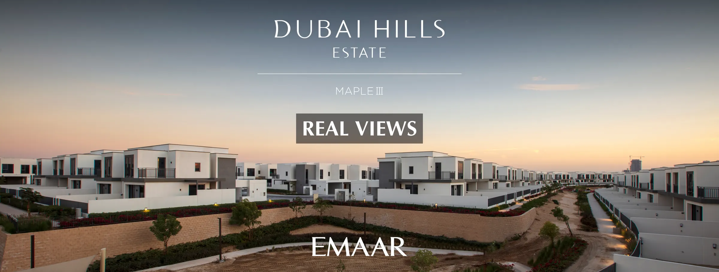 MAPLE III — view 23