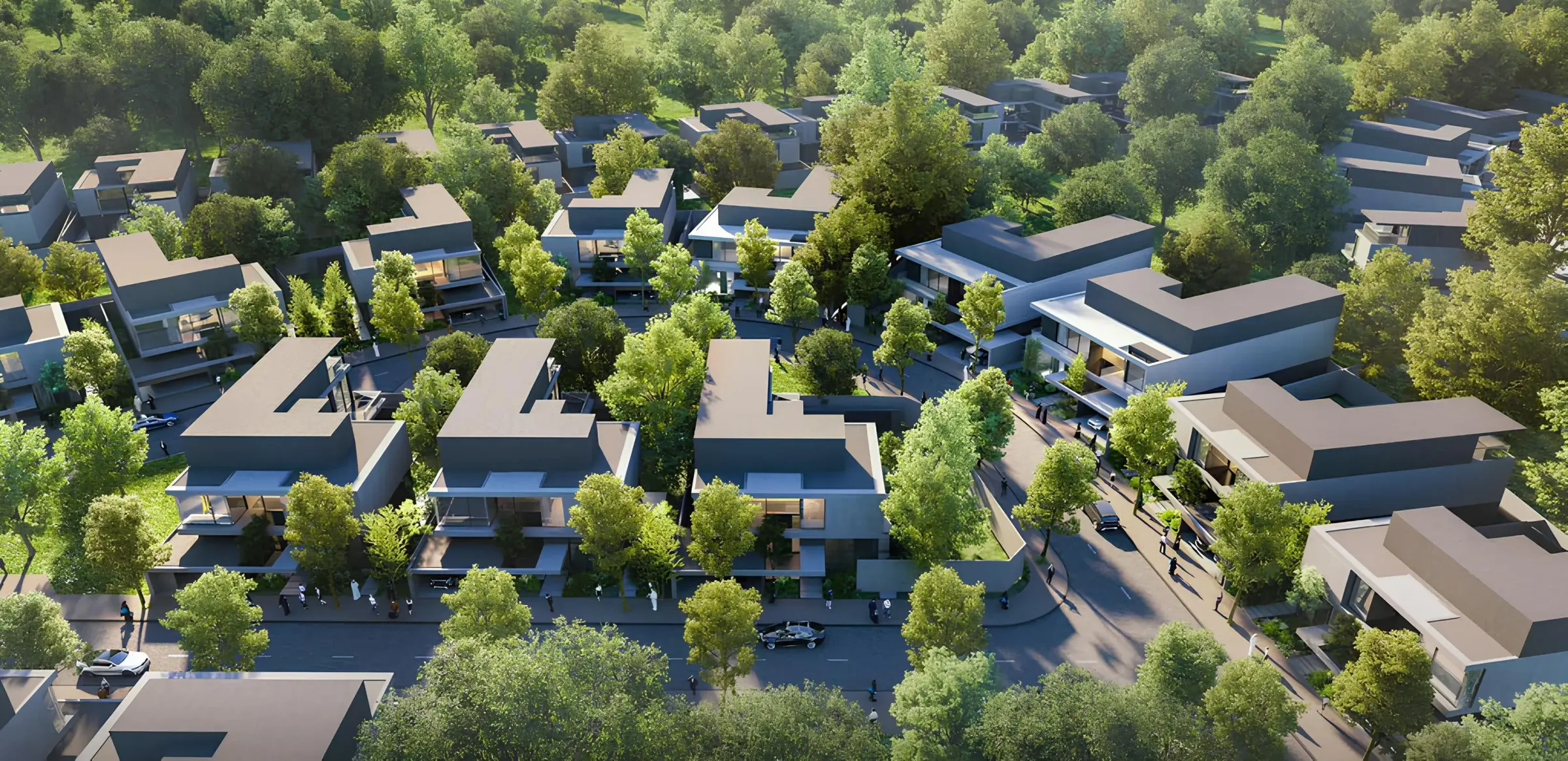 Masaar 1 Sequoia 1 — view 17
