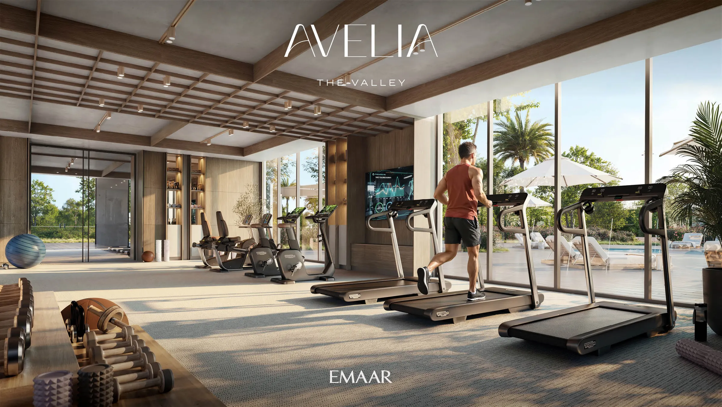 Ovelle & Avelia — zdjęcie 9