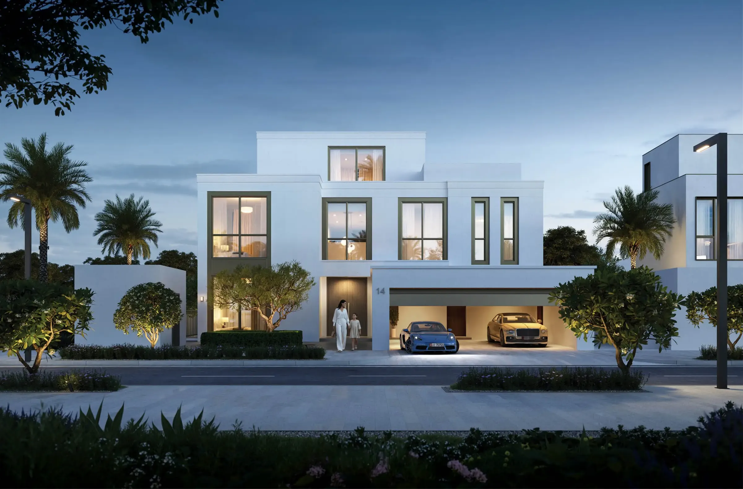 Palmiera Collective — view 2