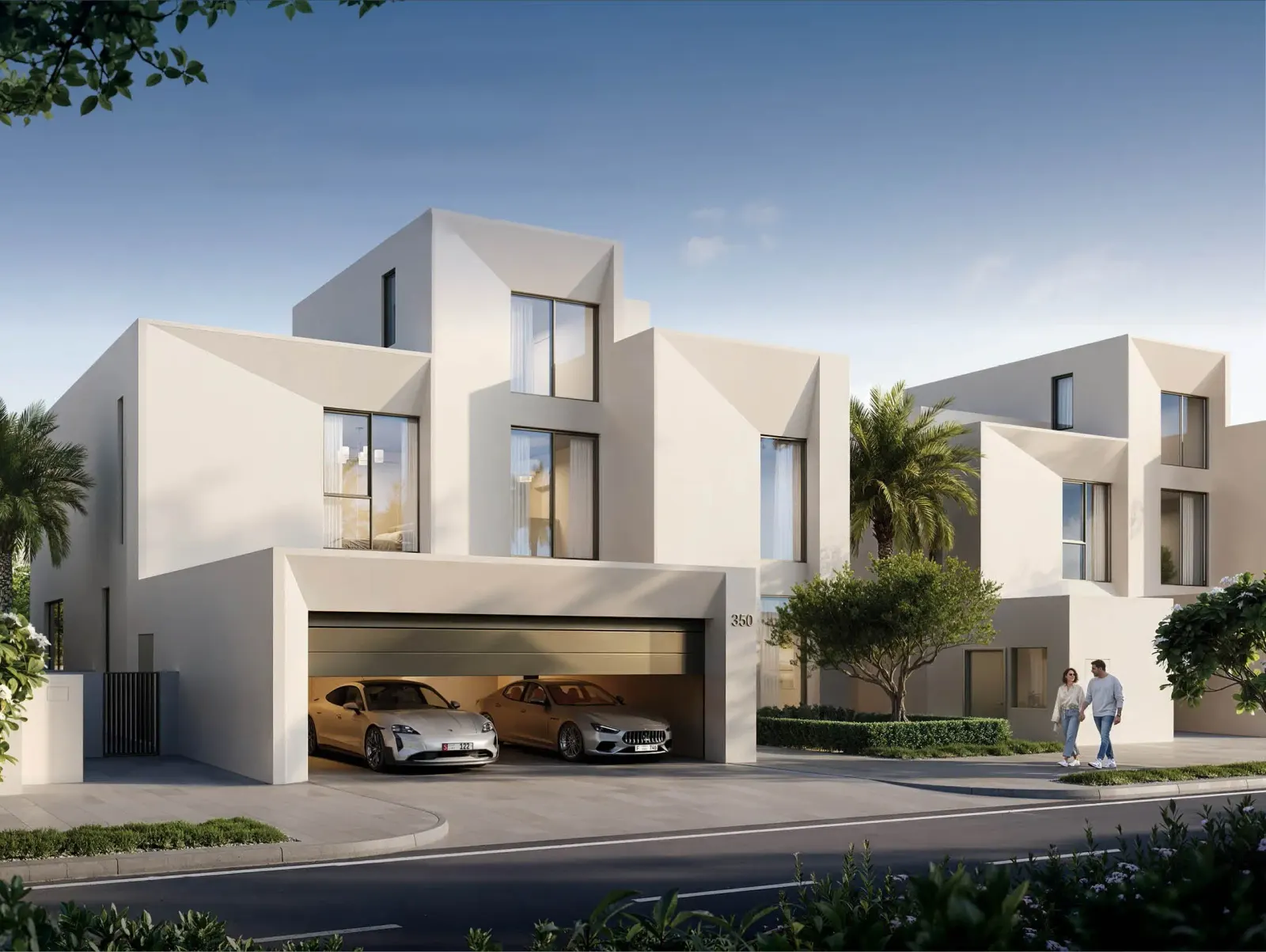 Palmiera Collective — view 8