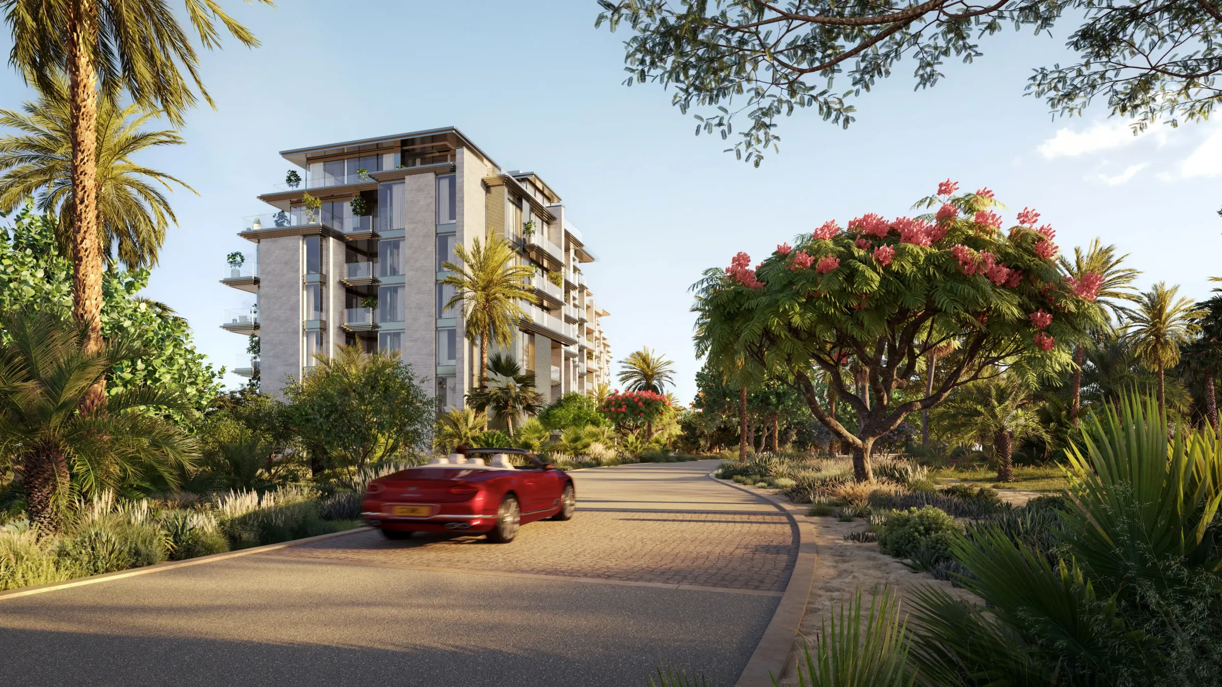 Solaya 6 — view 6