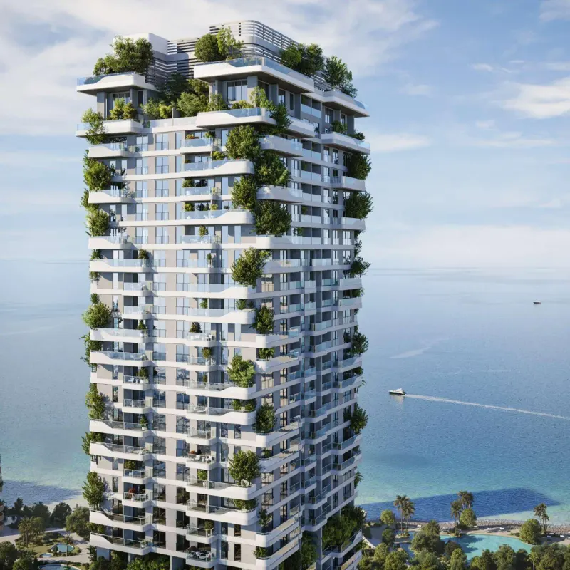 Talea — view 8