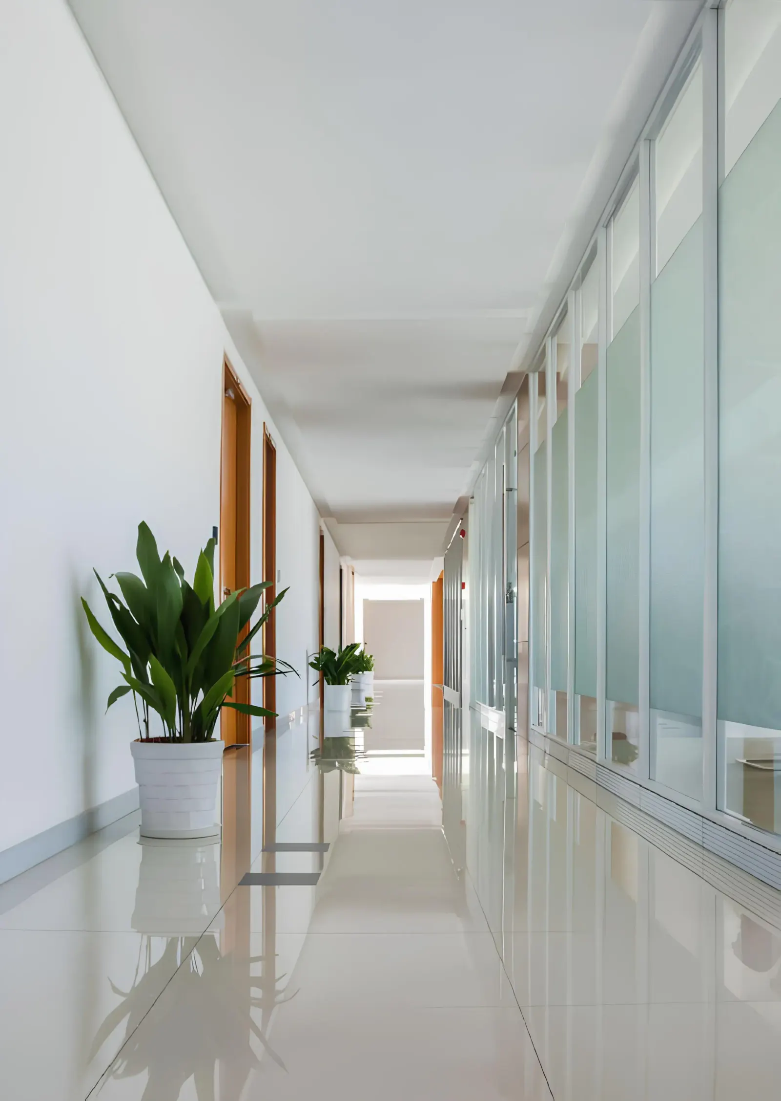 Tranquil Wellness Residences — view 11